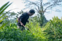 Chiganchinggre Samanda FPC 4